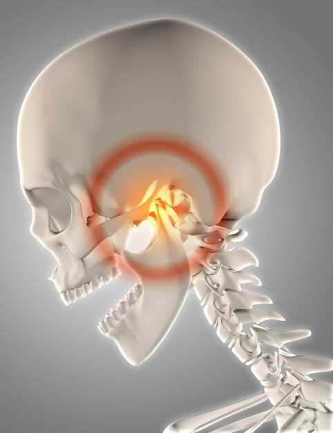 Структура и расположение canalis pterygoideus в черепе