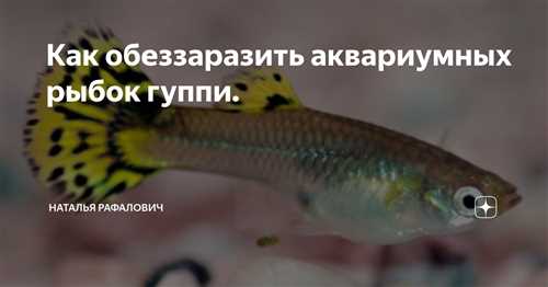 Рекомендации
