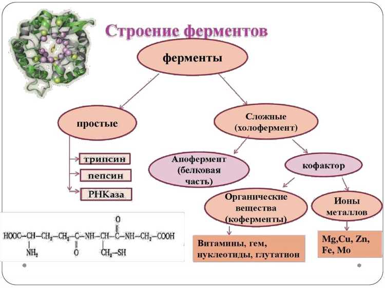 Механизмы