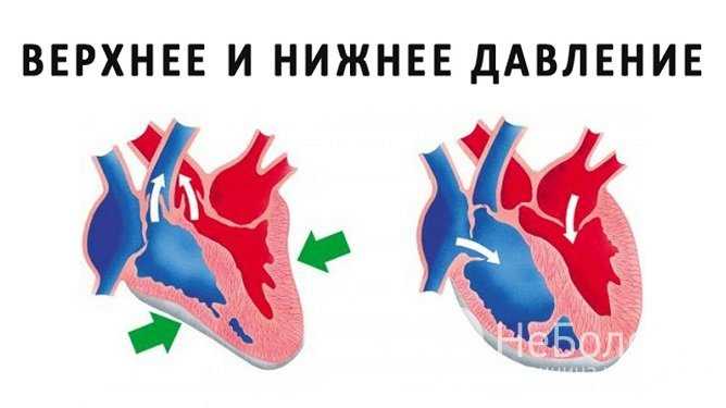 Причины повышения нижнего давления: мифы и реальность