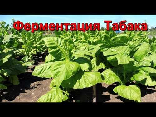 Традиционные
