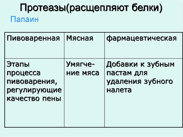 Где содержатся биокатализаторы в природе