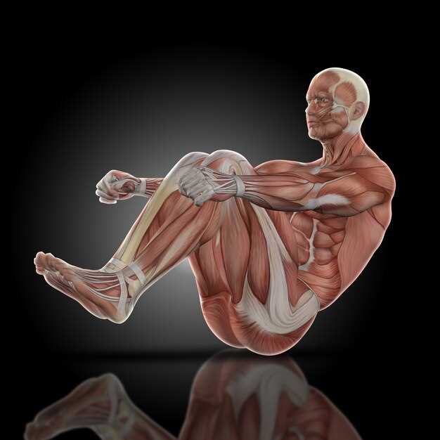 Спортивные упражнения: участие мышц бедра и ягодичных для увеличения силовых показателей