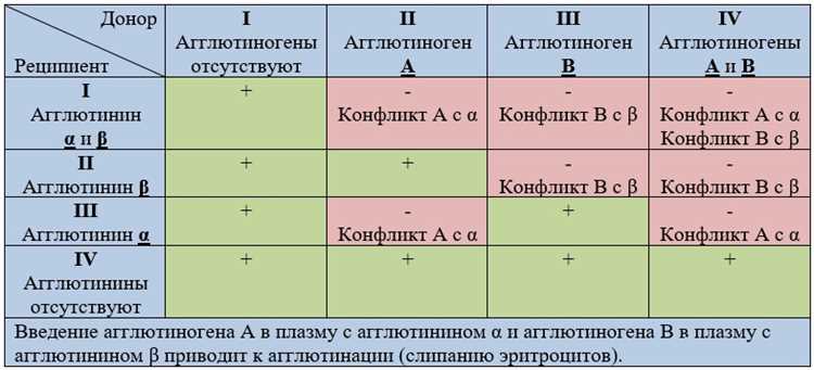 Организация