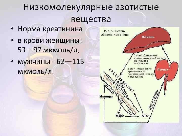 Методы определения креатинина в анализах