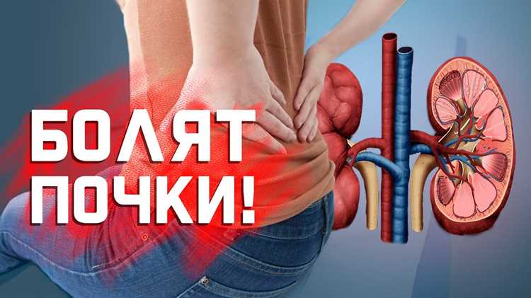 Влияние заболеваний органов выделения на состояние позвоночника