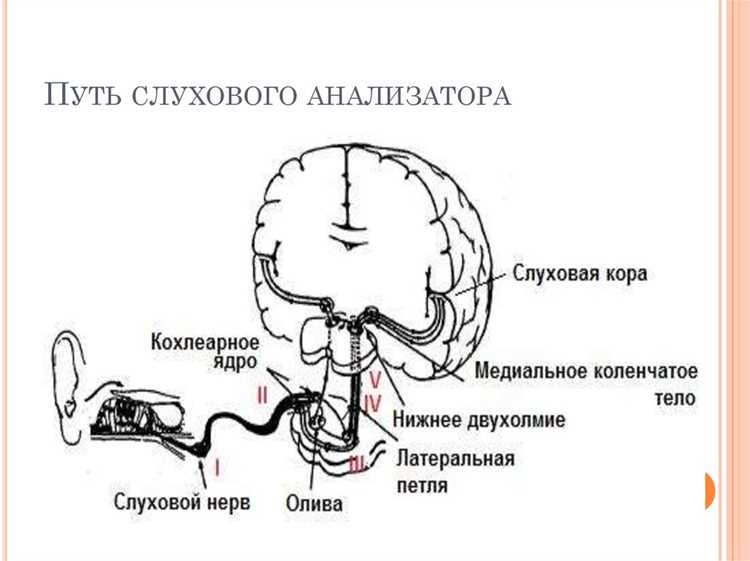 Специфика профилактики для детей и подростков