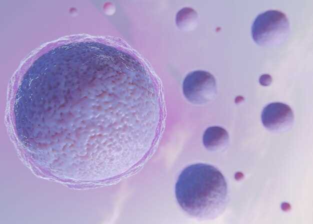 Эмбриональные источники и пути миграции primordial germ cells (ПГК)