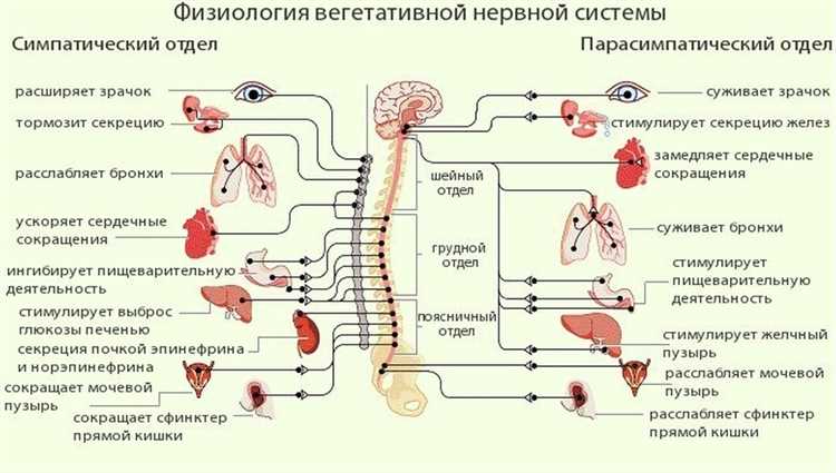 Симптомы