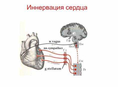 Механизмы