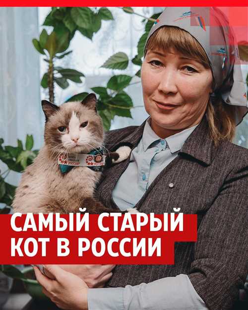 Узнайте