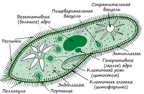 Взаимодействие