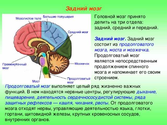 Методы исследования: МРТ и другие технологии