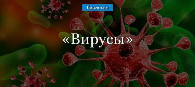 Структура