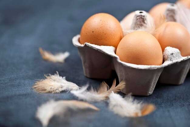 Как яички участвуют в репродуктивной функции и формировании спермы