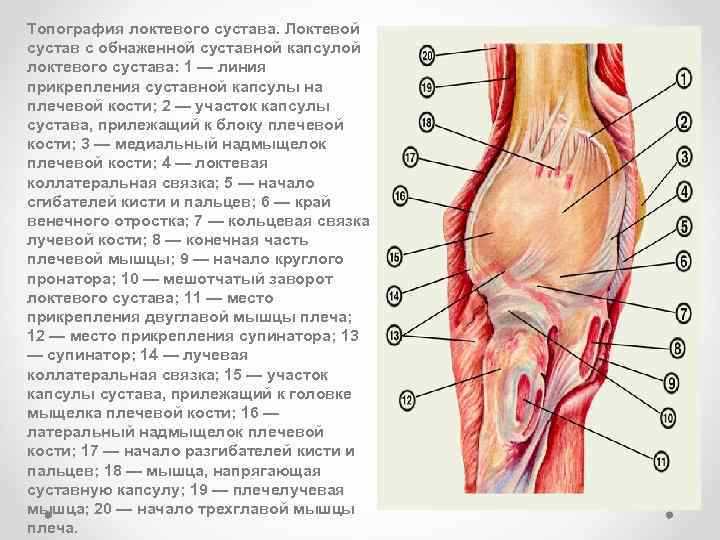 Этот