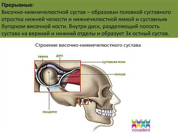 Влияние
