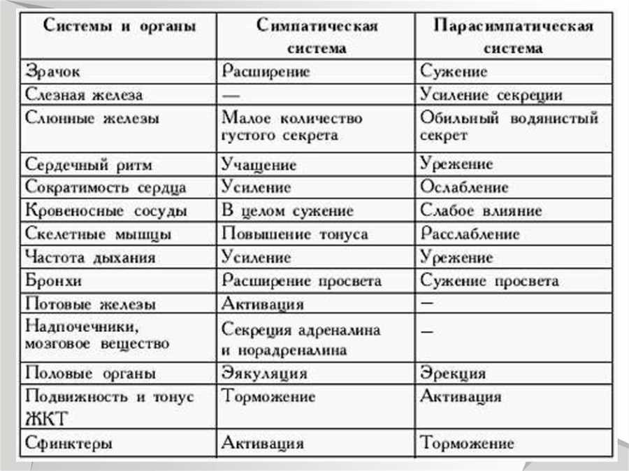Заключение