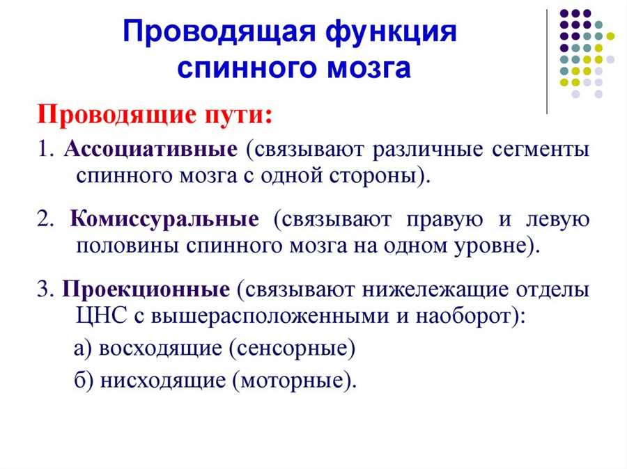 Участие