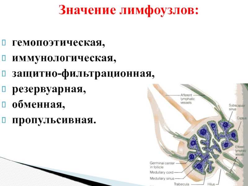 Очистка