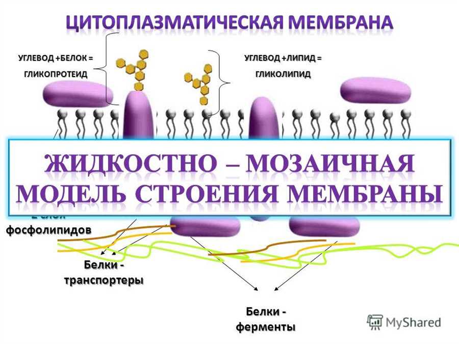 Роль