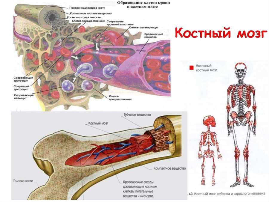 Процесс