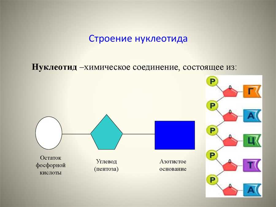 Классификация
