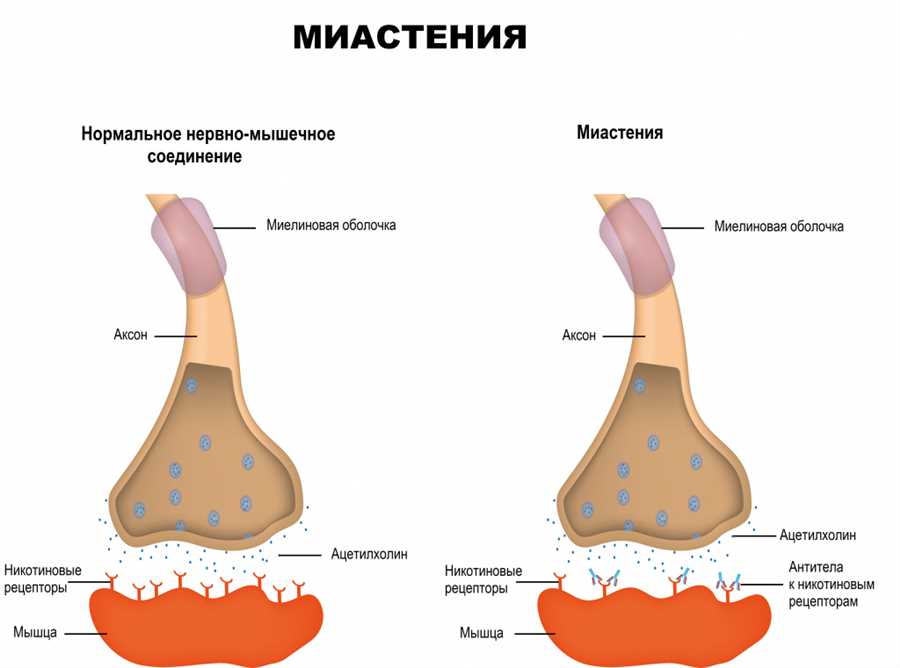 Может