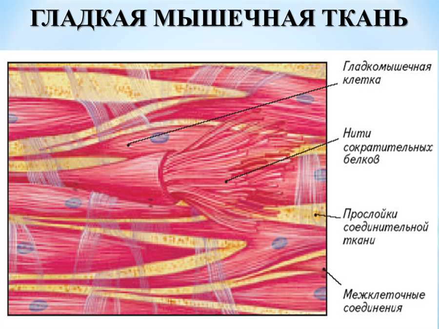 Структура