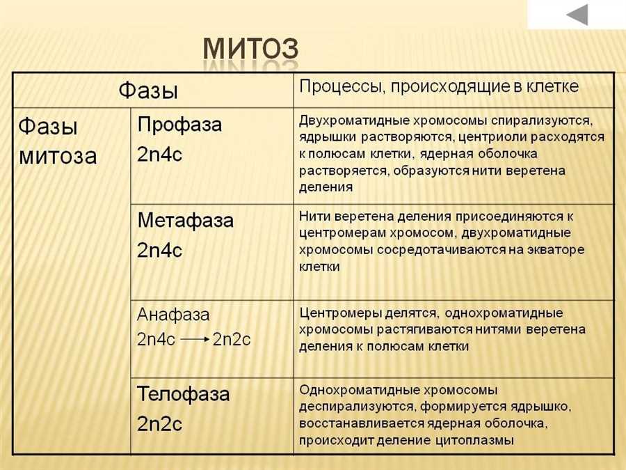 Главные