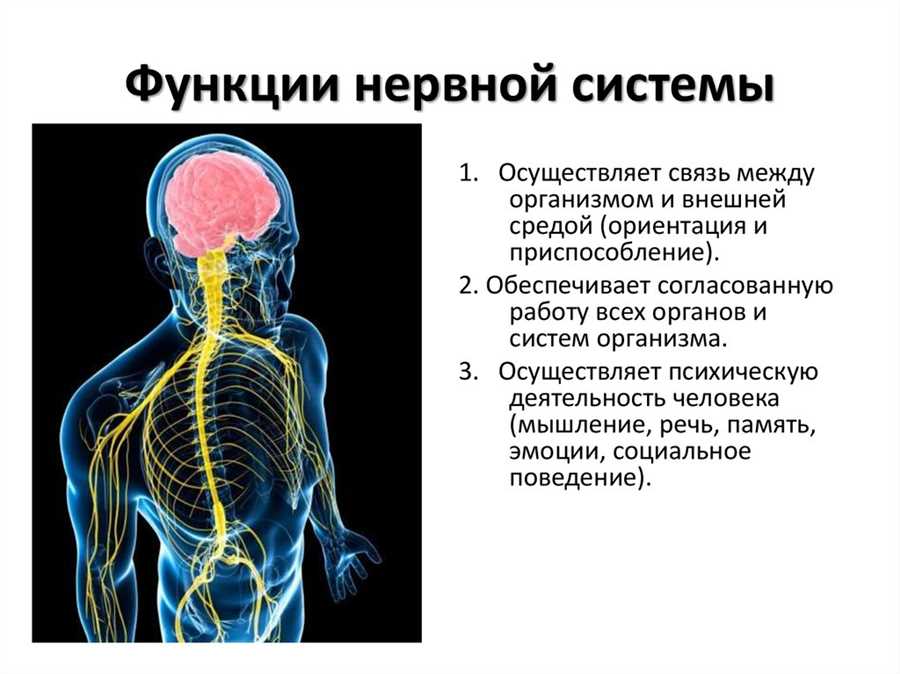 Основная