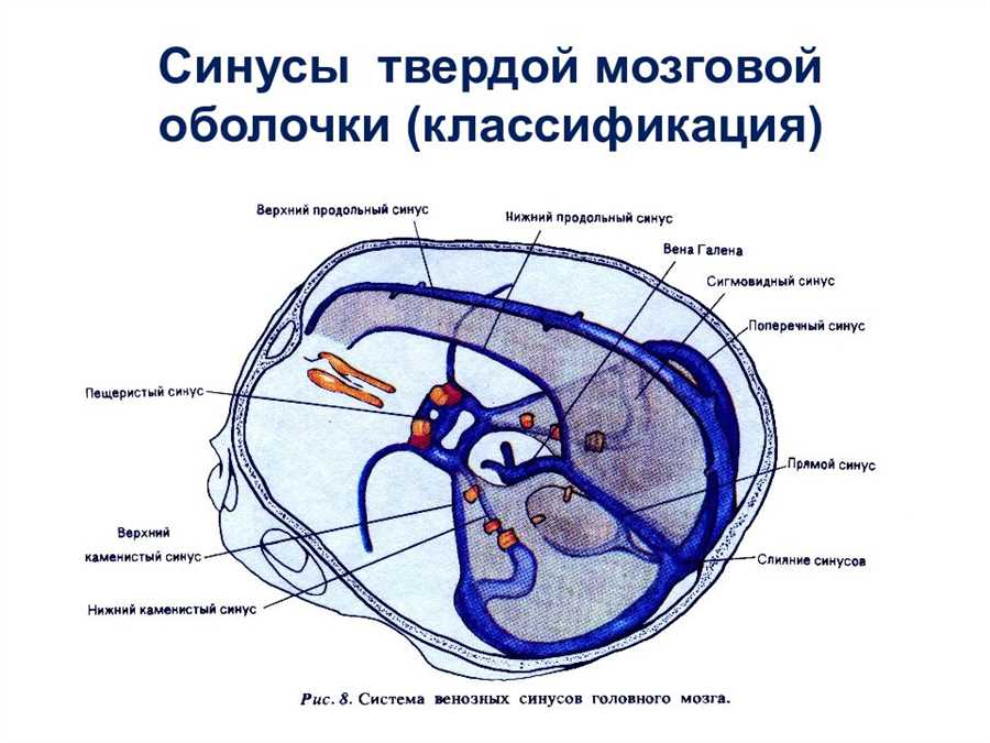 3.
