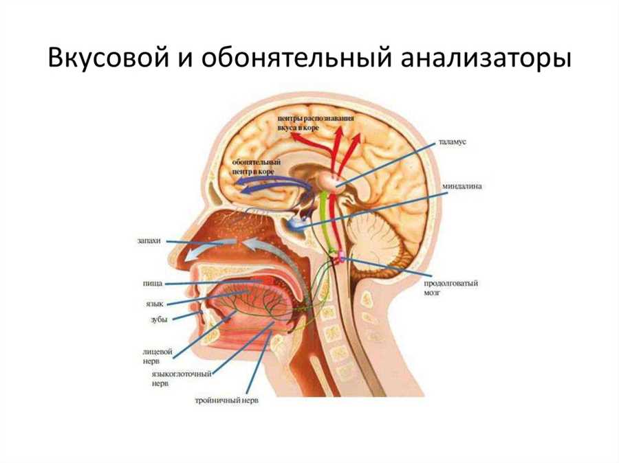 Регулирование