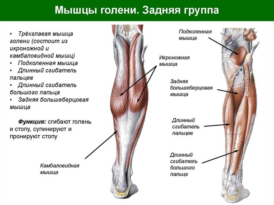 Диагностика