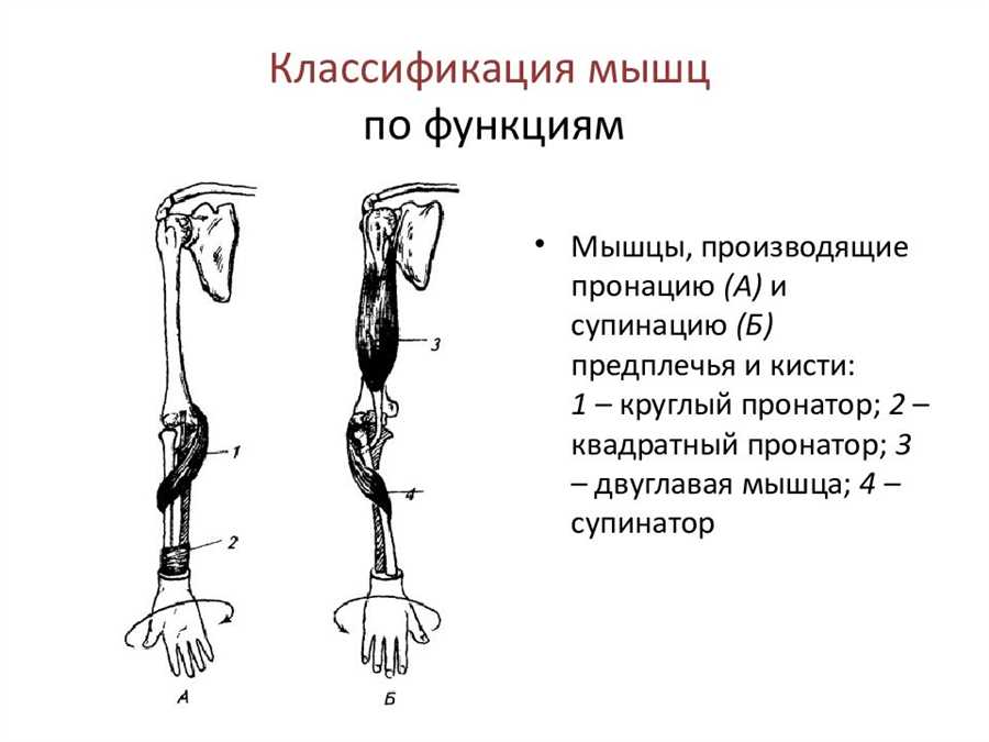 Роль