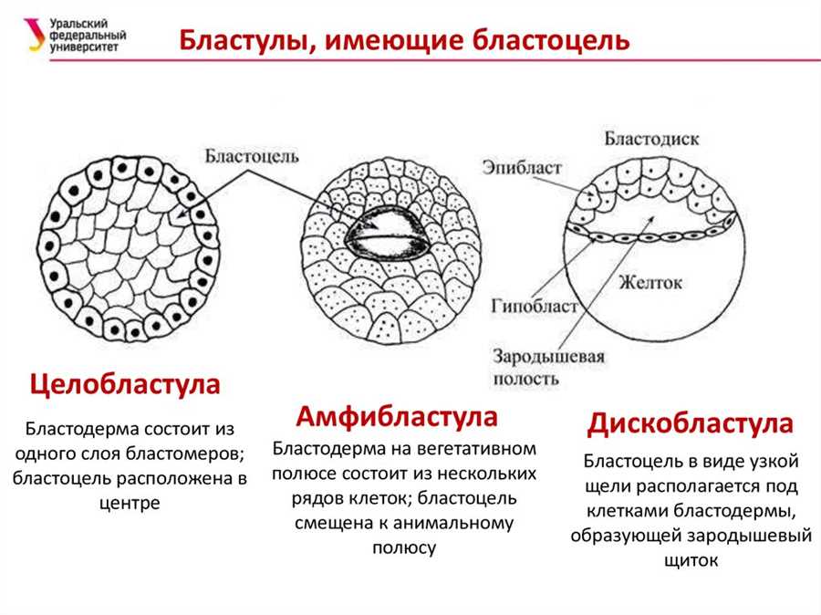 Проверка