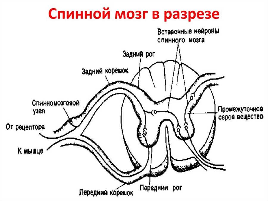 Инструкция