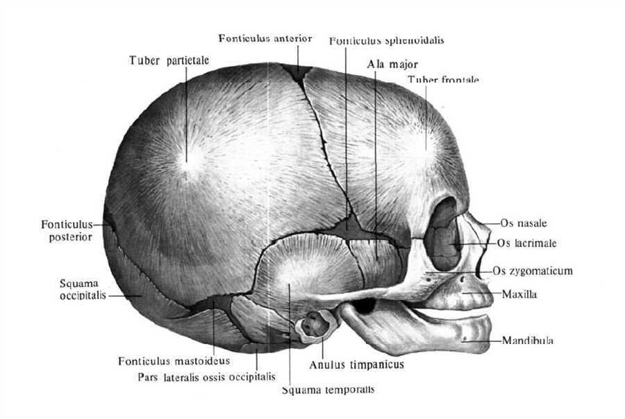 1.