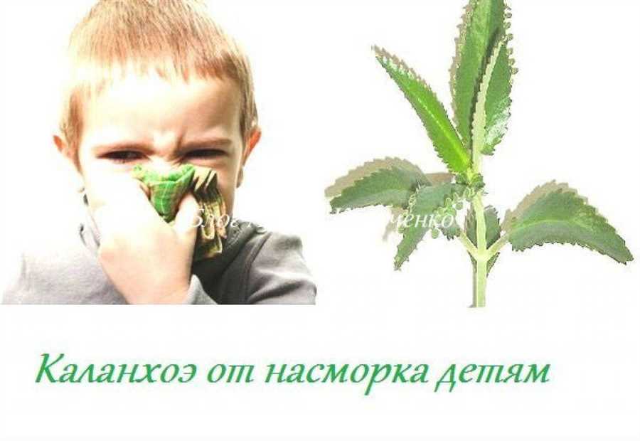 2.