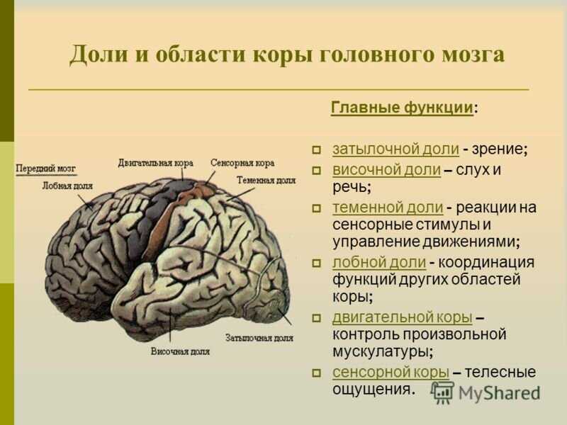 Креативность