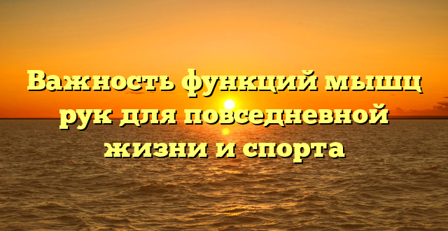 Важность функций мышц рук для повседневной жизни и спорта