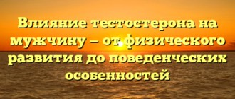 Влияние тестостерона на мужчину — от физического развития до поведенческих особенностей