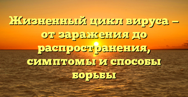 Жизненный цикл вируса — от заражения до распространения, симптомы и способы борьбы