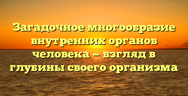 Загадочное многообразие внутренних органов человека — взгляд в глубины своего организма