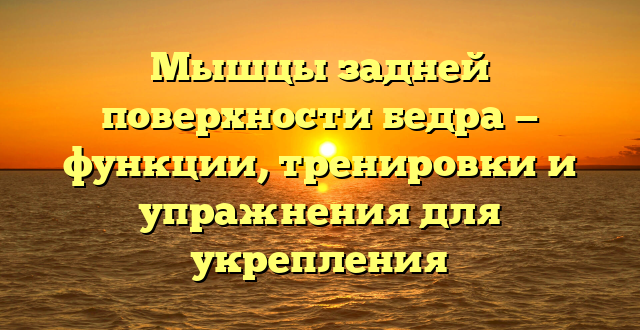 Мышцы задней поверхности бедра — функции, тренировки и упражнения для укрепления