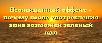 Неожиданный эффект — почему после употребления вина возможен зеленый кал