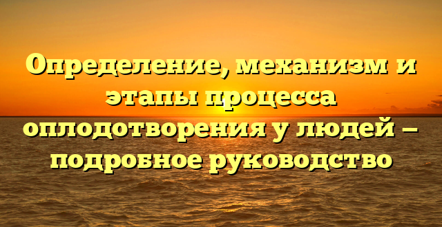 Определение, механизм и этапы процесса оплодотворения у людей — подробное руководство