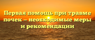 Первая помощь при травме почек — необходимые меры и рекомендации