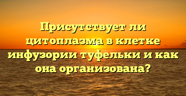 Присутствует ли цитоплазма в клетке инфузории туфельки и как она организована?