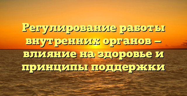 Регулирование работы внутренних органов — влияние на здоровье и принципы поддержки